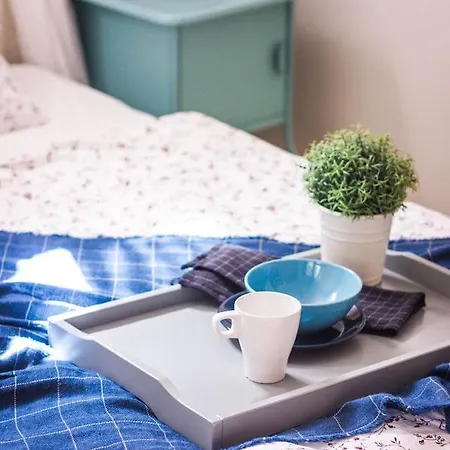 Premium Inga Apartment *